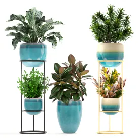 Collection of plants 5